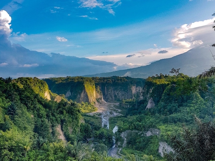 Panorama Ngarai Sianok: Pesona Lembah Dramatis di Jantung Sumatera Barat